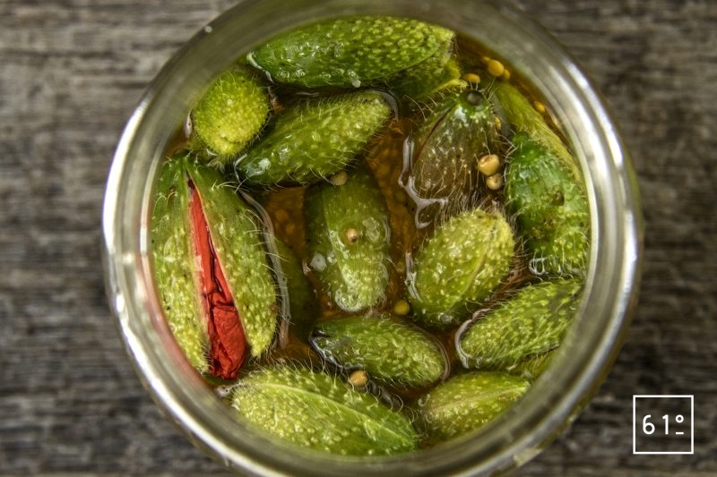 Pickles de coquelicot - rassembler la saumure te les bourgeons de coquelicot